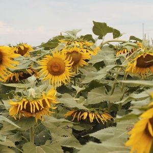 Help me clean out my closet!